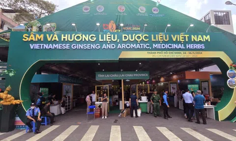 Dược liệu Hồng Phát mang sâm Ngọc Linh tươi đến hội chợ quốc tế